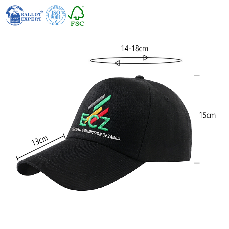Campaign Identity Baseball Cap 5