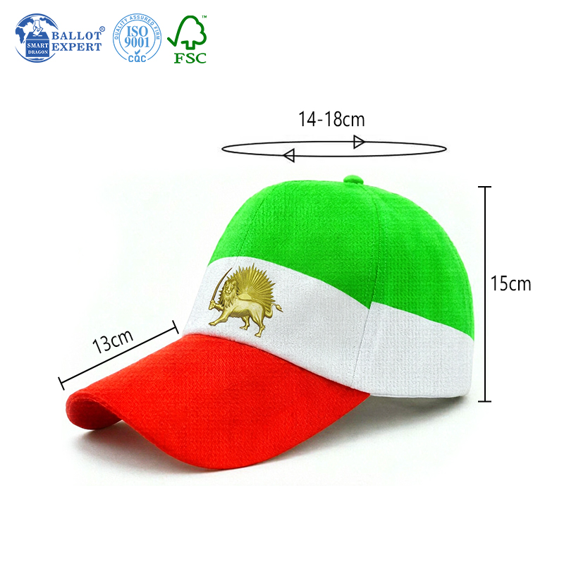 Election Color Block Cap 5